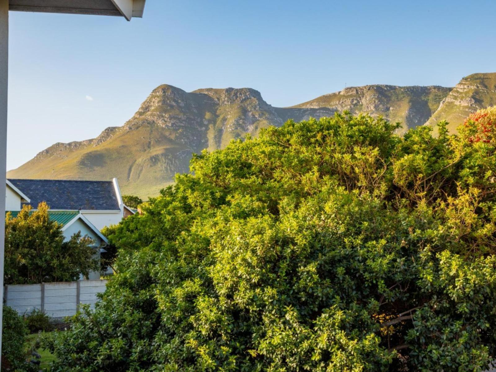Two Palm House - Vermont Hermanus Kamer foto